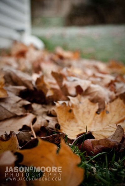 Between Fall and Winter