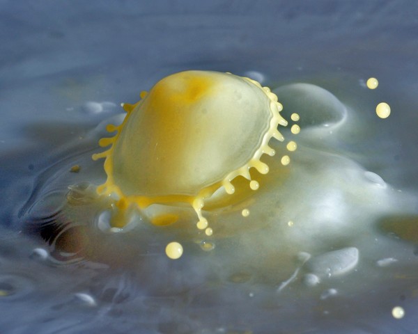 Yellow Splash