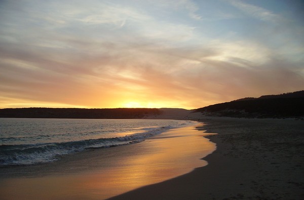 Bolonia