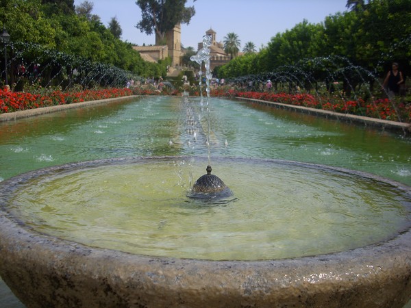 Agua