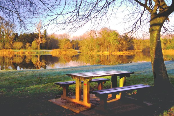 Seat at the Lake
