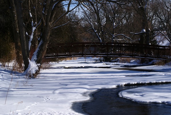 Lowville Park Views