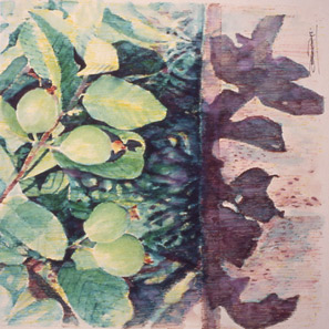 Fruit series