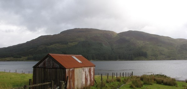 Tin Hut