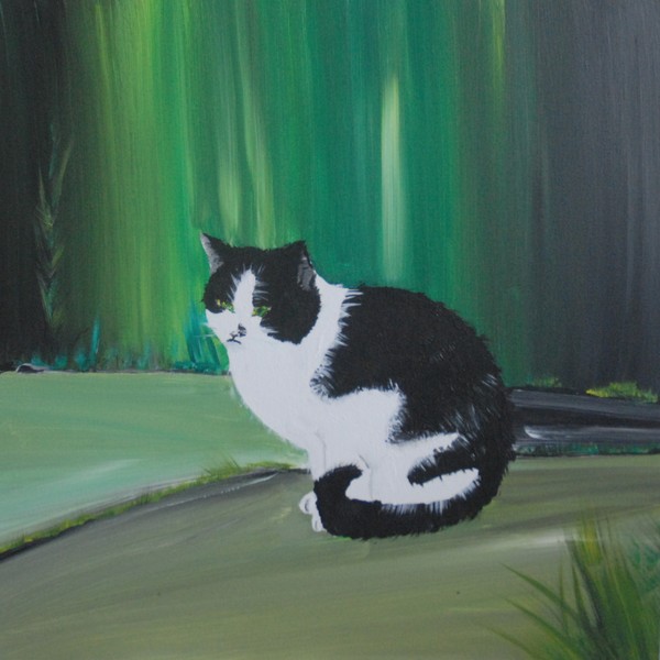 Cat outside a wall
