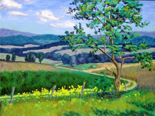 Landscape in S format
