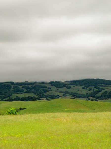 Sonoma Hills high fog