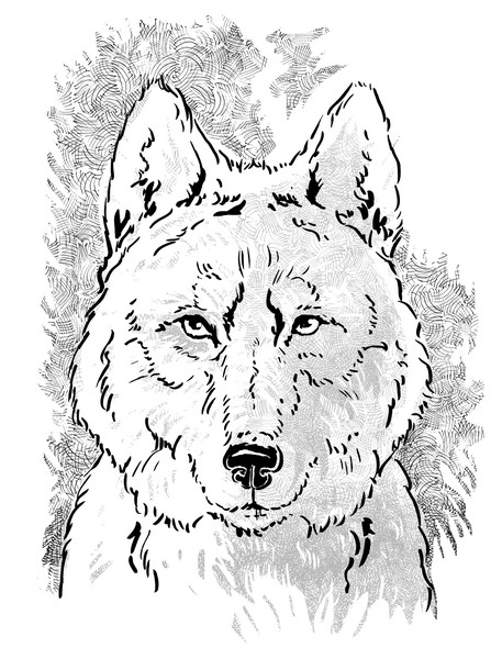 Book illustration 10