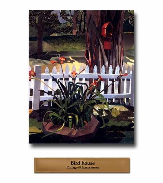 Bird House
