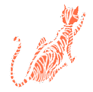 cat.gif