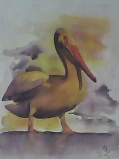 Pelican Bay