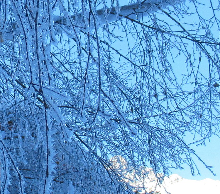 WINTER WONDERLAND