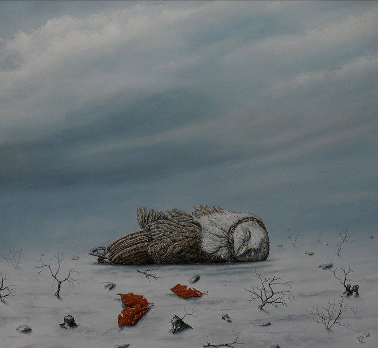 Winterlandscape