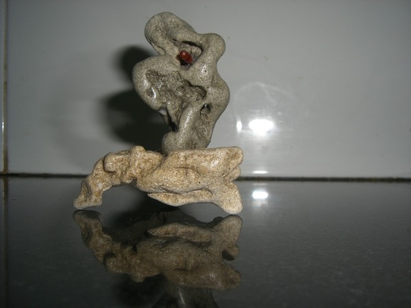 THE ROCK MAN