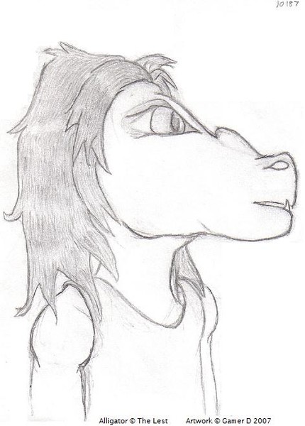 Alligator
