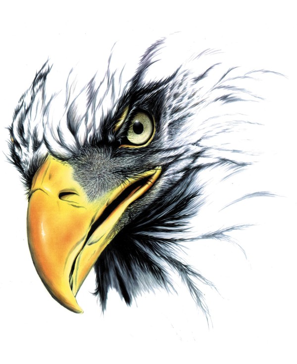 Eagle