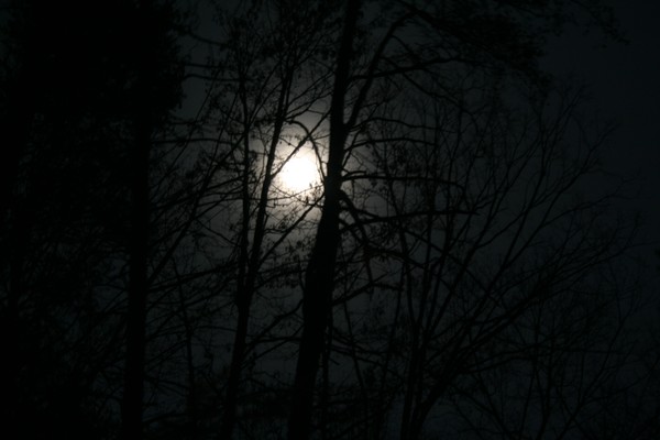 Moonlight