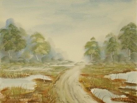 outback road landscape 633