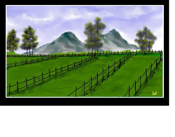The Fields 