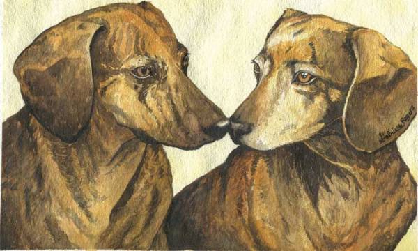 Two Dogs