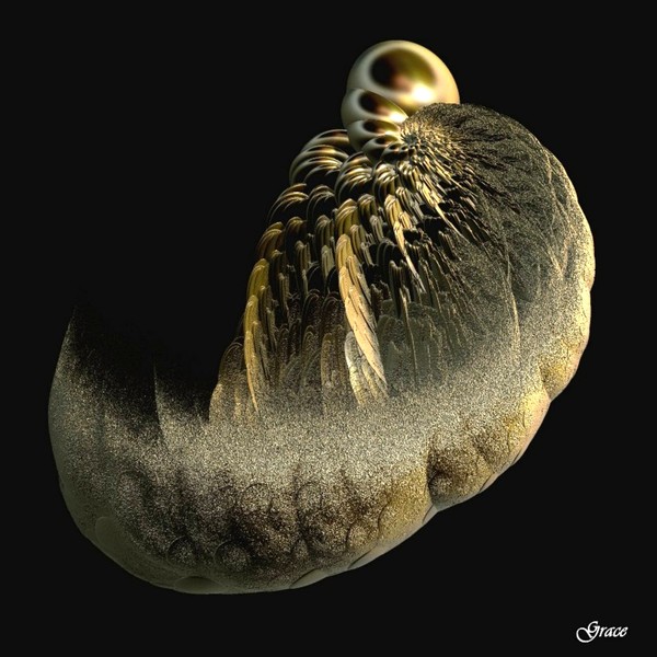 Fossilized in the Sands