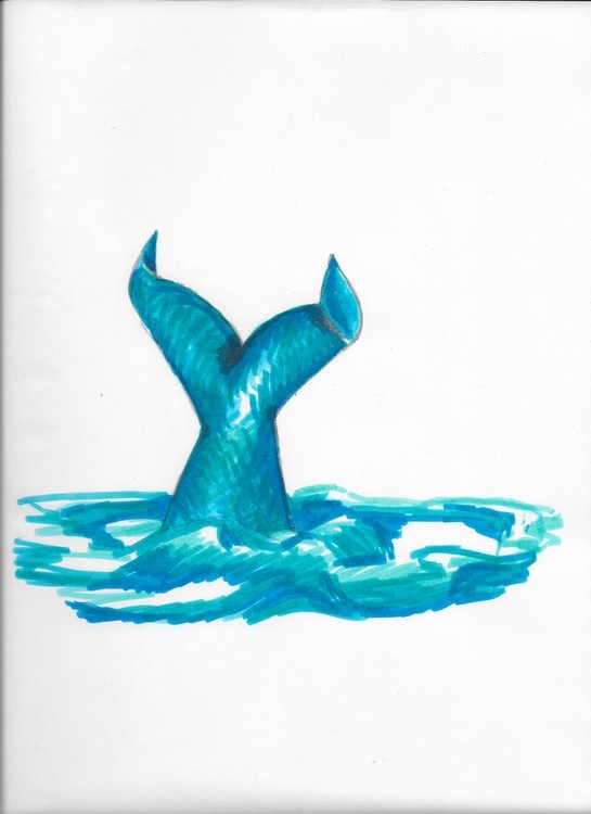 Whale 001