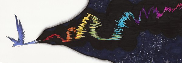 Lights of the Night Sky