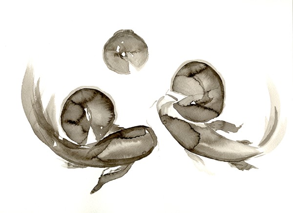 Kumonryu Koi