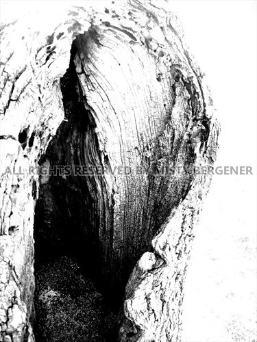 Caved- manipulated photo- 8.5 x 11.5 - Copy