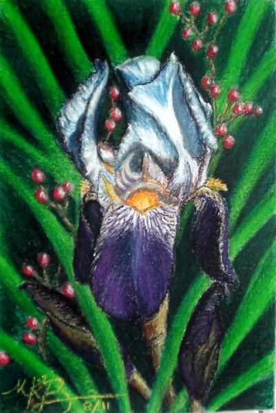 Violeta