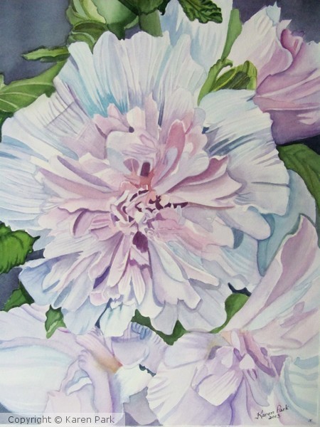 Fancy Hollyhocks
