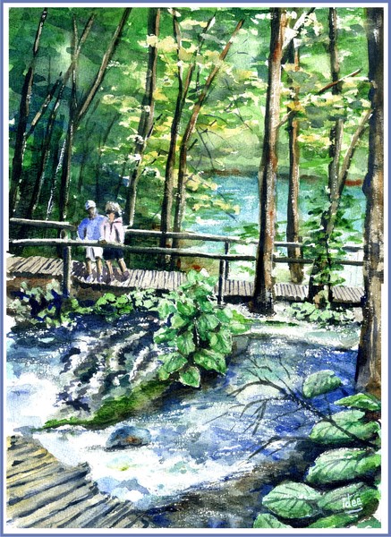 Over the cascades in the nature parc of Plitvice