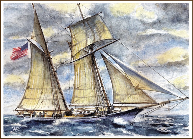The Baltimore klipper  Californian