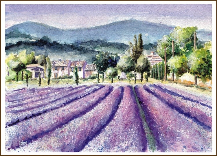 Lavender field in Provence