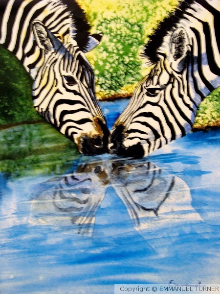 TWIN REFLECTION