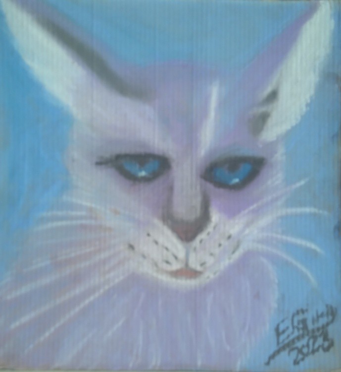 Purple Cat with Blue Eyes