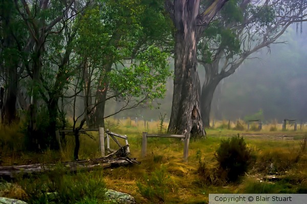 Mystical Place