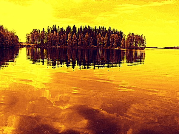 Golden Sunset