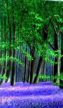 Bluebells cathedral