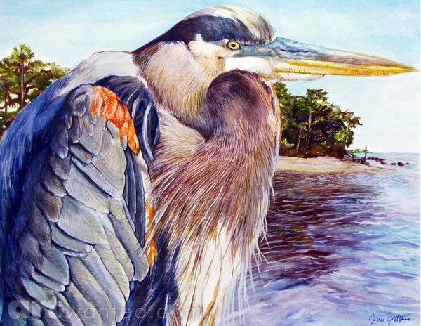 River Watcher