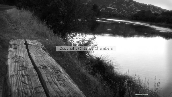 The River Bench