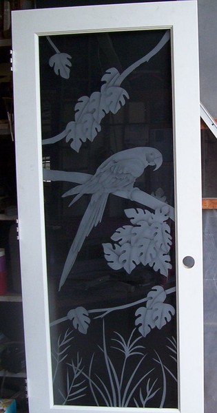 parrot/door