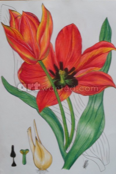 drawings1 008