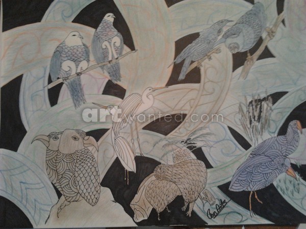 Birds of New Zealand