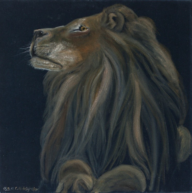 Proud lion