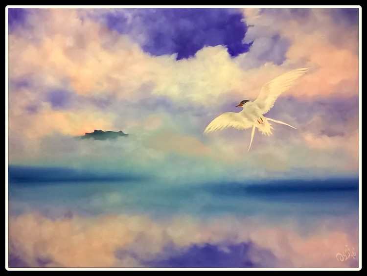 The Tern.