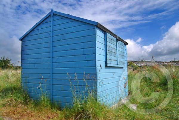 blue shed