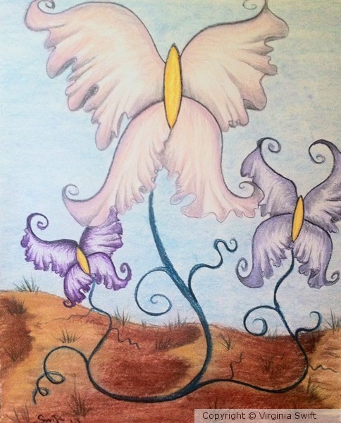 Butterfly flowers
