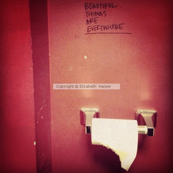 Beautiful Things Are Everywhere