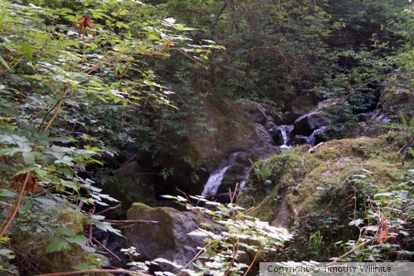 Relaxing stream